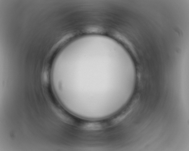X0000113620067200910162002