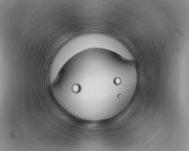X0000113620068200910162002