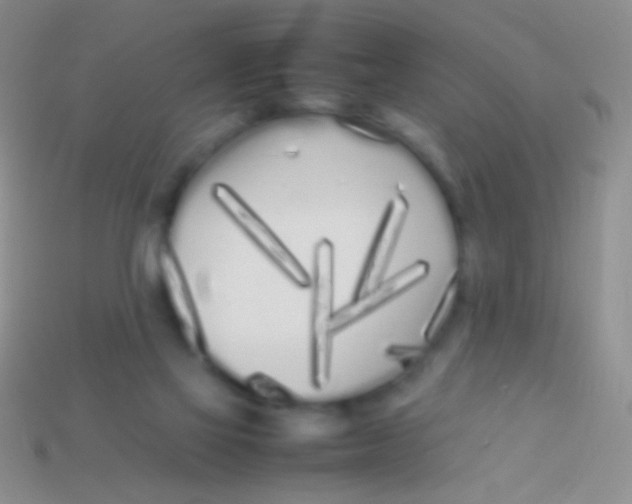 X0000113620069200910162002