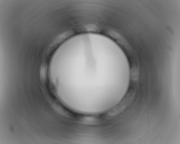 X0000113620070200910162002
