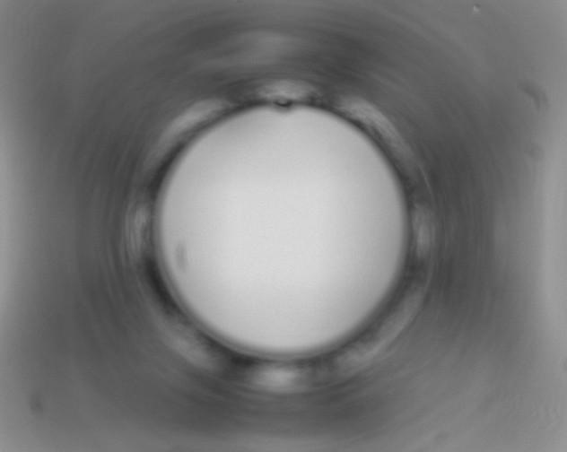 X0000113620071200910162002