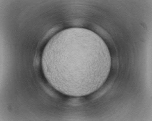 X0000113620072200910162002