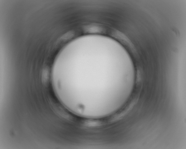 X0000113620073200910162002