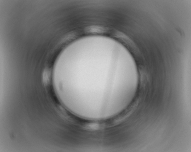 X0000113620075200910162002