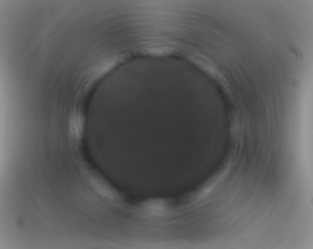 X0000113620076200910162002