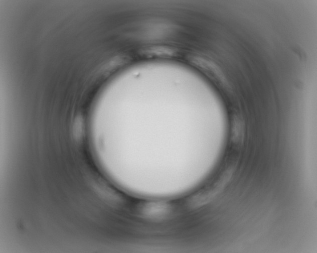 X0000113620077200910162002
