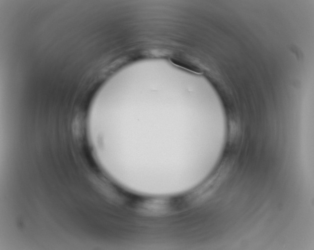 X0000113620078200910162002