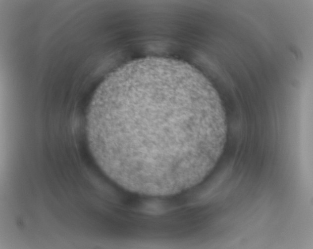X0000113620079200910162002