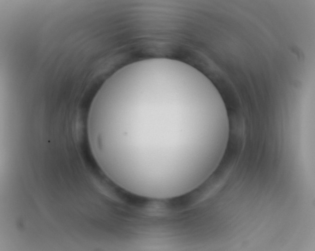 X0000113620080200910162002