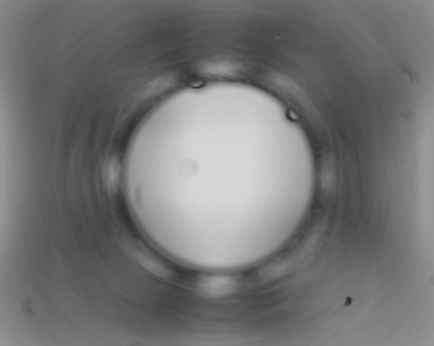 X0000113620081200910162002