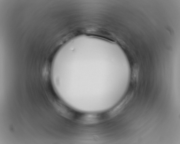 X0000113620082200910162002