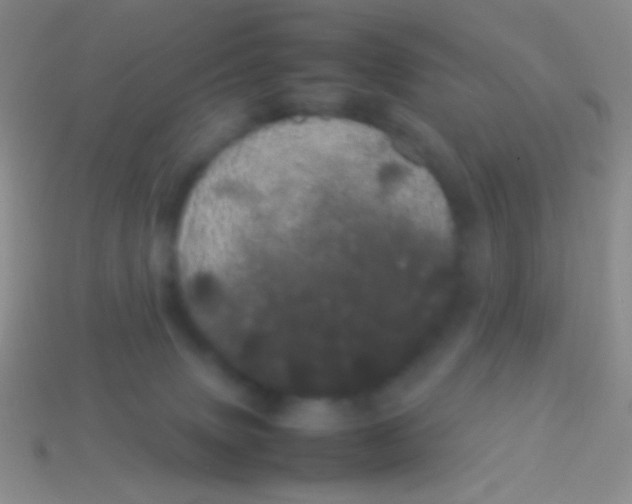 X0000113620083200910162002