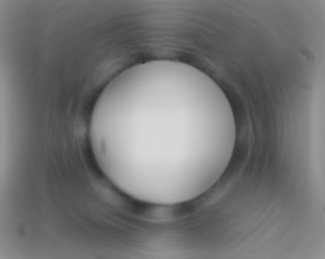 X0000113620084200910162003