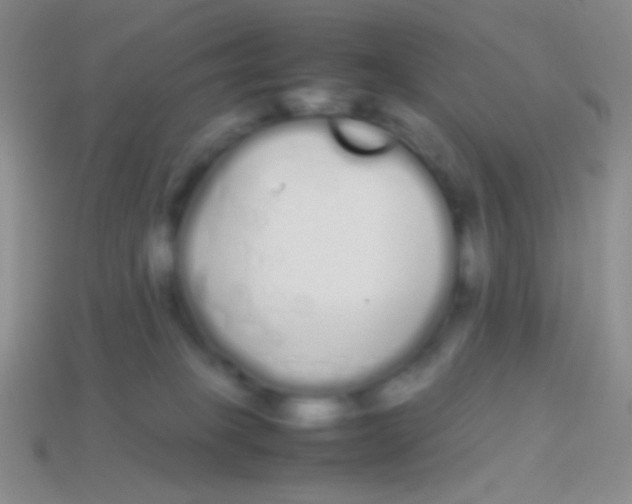 X0000113620085200910162003