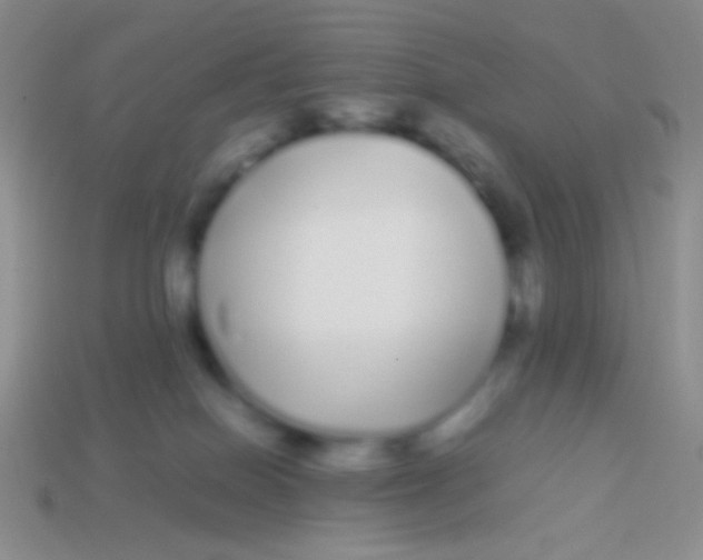 X0000113620086200910162003