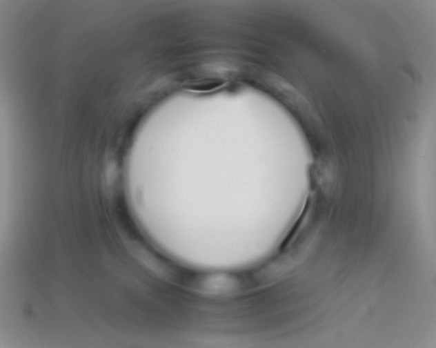 X0000113620087200910162003