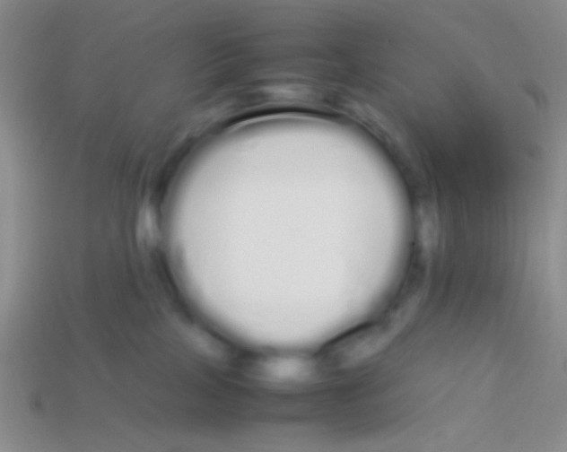 X0000113620089200910162003