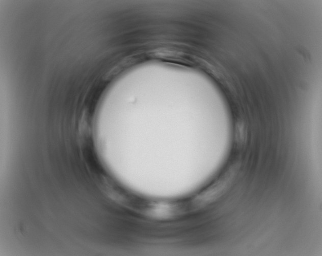 X0000113620091200910162003