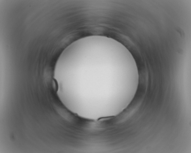 X0000113620092200910162003