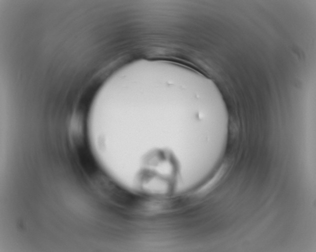 X0000113620094200910162003