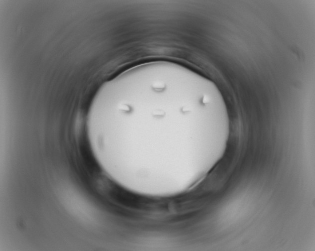 X0000113620095200910162003