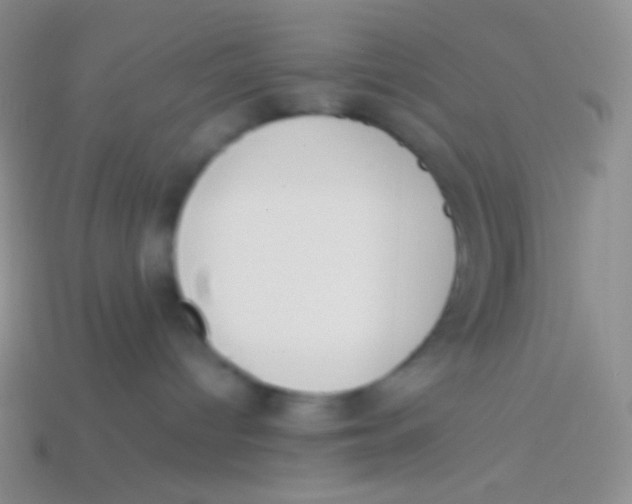 X0000113620096200910162003