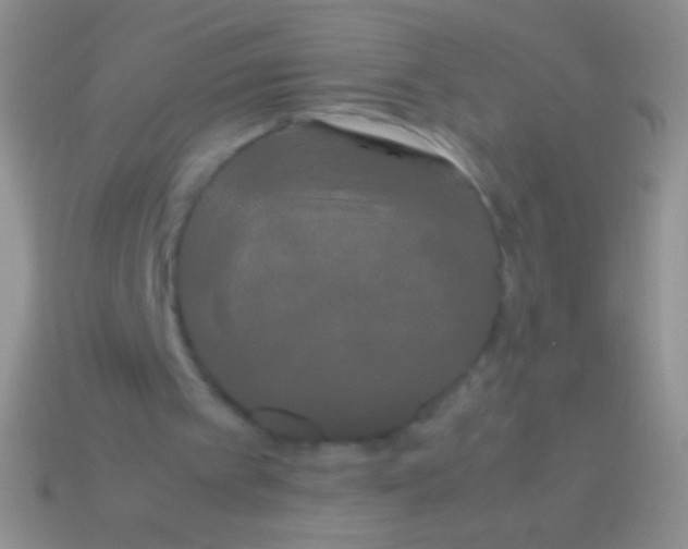 X0000113620097200910162002