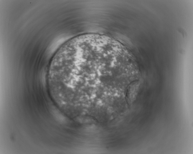 X0000113620098200910162002