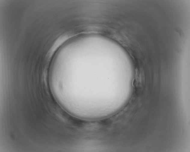 X0000113620099200910162002