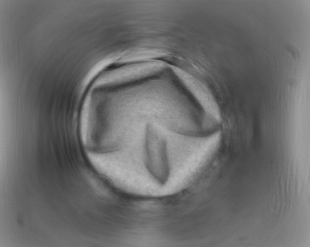 X0000113620100200910162002