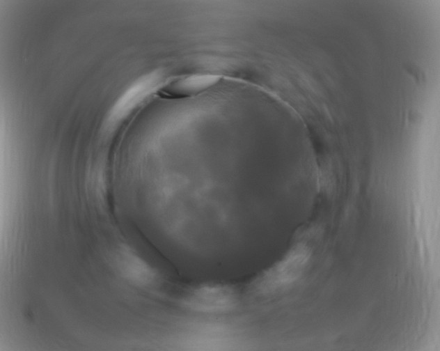 X0000113620101200910162002
