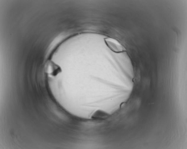 X0000113620102200910162002