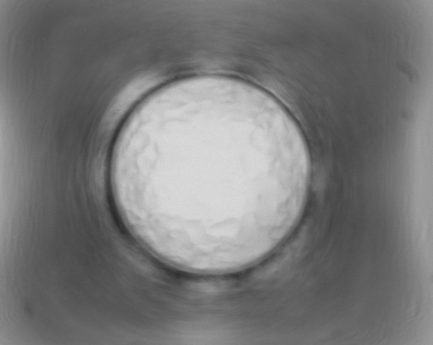 X0000113620103200910162002