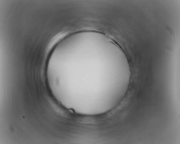 X0000113620104200910162002