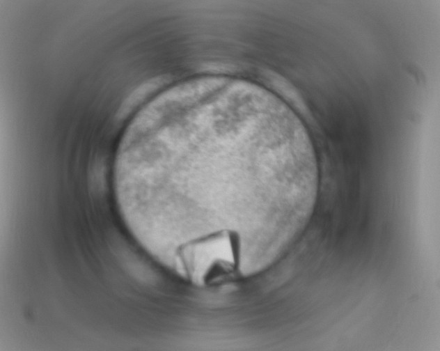 X0000113620106200910162002