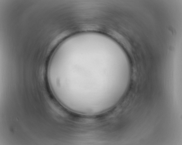 X0000113620107200910162002