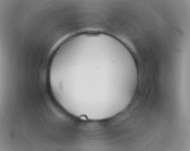 X0000113620108200910162002