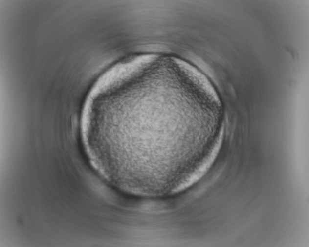 X0000113620109200910162002
