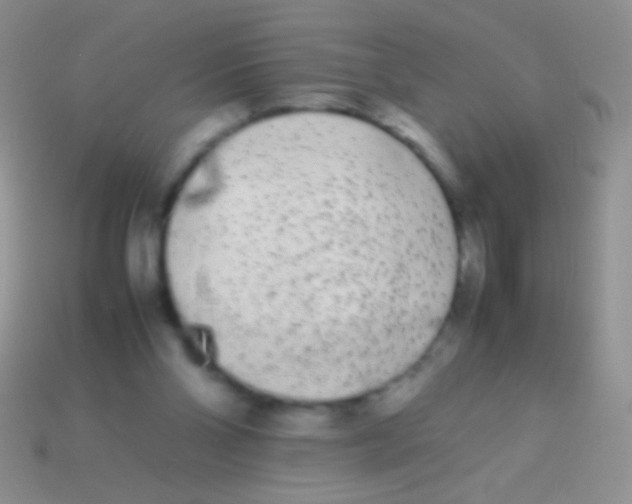 X0000113620110200910162002