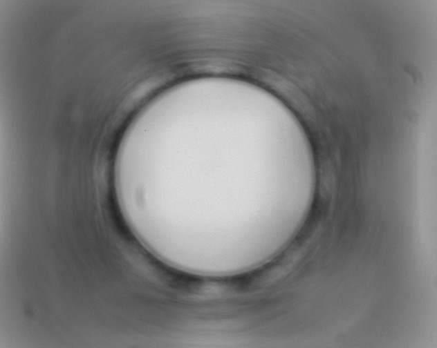X0000113620111200910162002