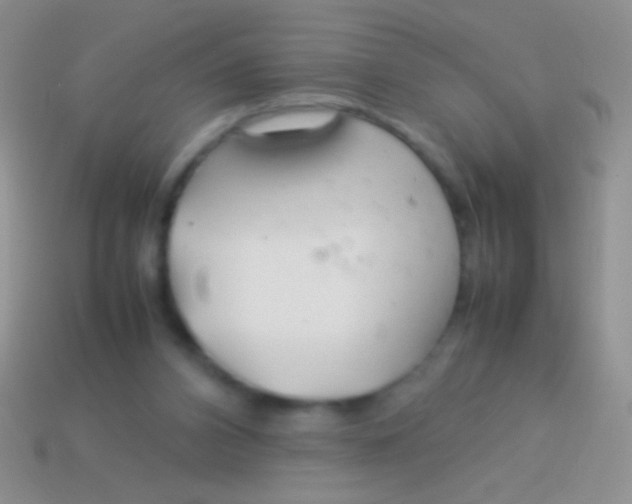 X0000113620112200910162002