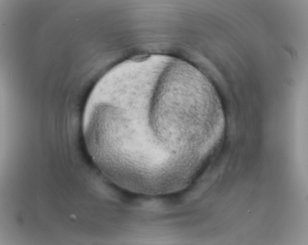 X0000113620113200910162002