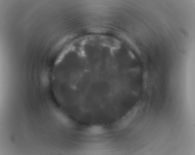 X0000113620114200910162002