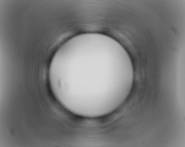 X0000113620115200910162002