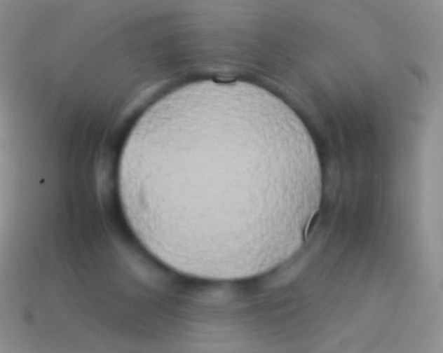 X0000113620116200910162002
