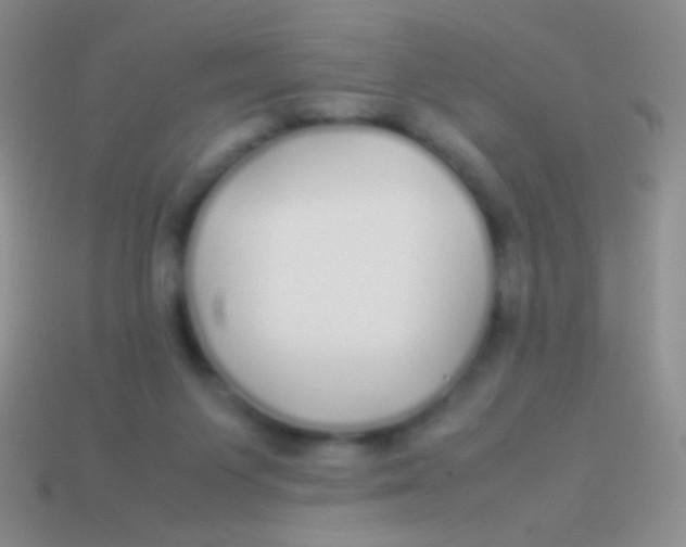 X0000113620119200910162002