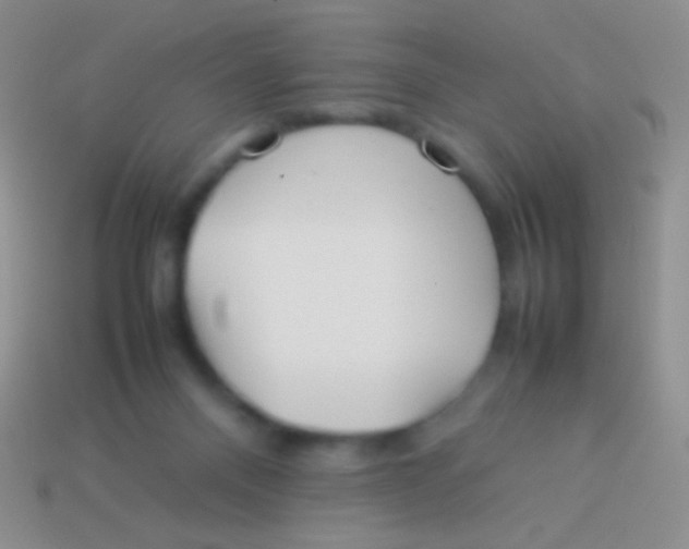 X0000113620120200910162002