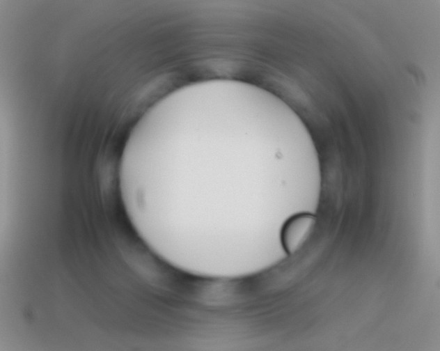 X0000113620122200910162001