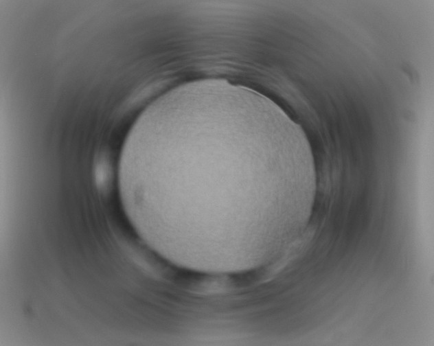 X0000113620124200910162001