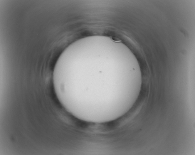X0000113620125200910162001